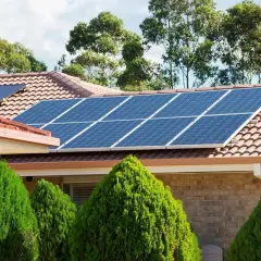 Panneaux solaires thermiques bleus brillants sur un toit de tuiles, entourés de verdure luxuriante.