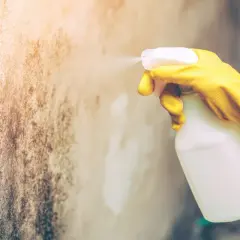 Main jaune pulvérisant un produit sur un mur taché par l'humidité dans une maison.