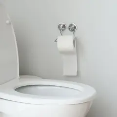 Un WC blanc au couvercle ouvert, prêt pour l'évacuation des eaux usées. Un rouleau de papier toilette est accroché au mur.