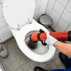 Main tenant utilise un déboucheur pour déboucher WC.