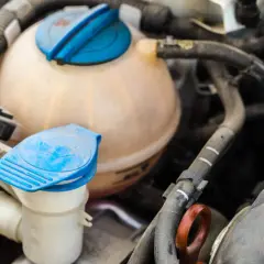 Gros plan sur le **vase d'expansion rempli d'eau** d'une voiture, avec ses bouchons bleus et les tuyaux environnants.