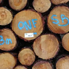 Gros plan sur un **stère de bois** empilé, avec des marques bleues indiquant "ONF", "SB" et "3m".