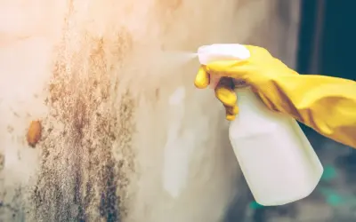 Main jaune pulvérisant un produit sur un mur taché par l'humidité dans une maison.