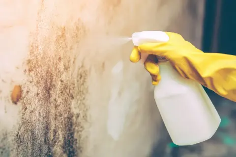 Main jaune pulvérisant un produit sur un mur taché par l'humidité dans une maison.
