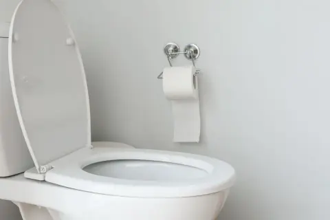 Un WC blanc au couvercle ouvert, prêt pour l'évacuation des eaux usées. Un rouleau de papier toilette est accroché au mur.