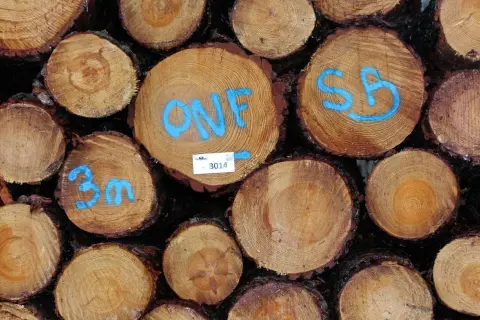Gros plan sur un **stère de bois** empilé, avec des marques bleues indiquant "ONF", "SB" et "3m".