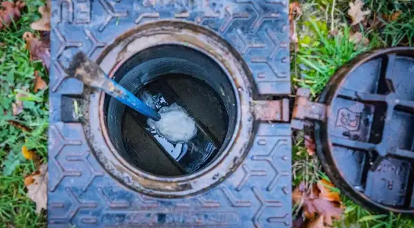 Un regard tout à l'égout ouvert, avec un outil bleu et une masse blanche à l'intérieur. Le couvercle est posé sur l'herbe et les feuilles mortes.