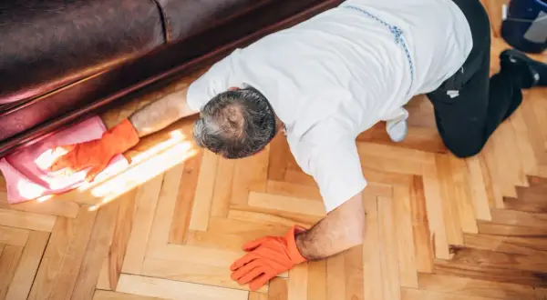 Un homme, vêtu d'une chemise blanche et de gants orange, est à genoux sur un parquet en bois. Il semble apprendre comment cirer un parquet, utilisant une lingette rose.