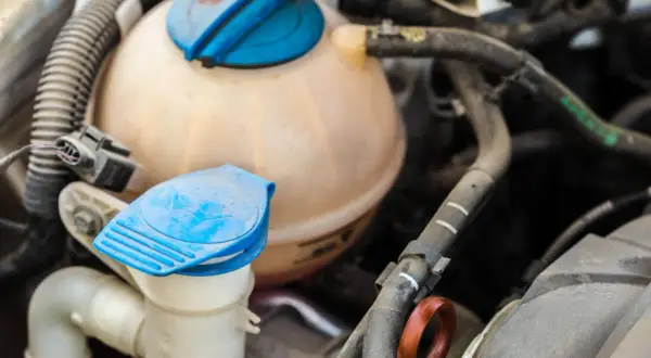 Gros plan sur le **vase d'expansion rempli d'eau** d'une voiture, avec ses bouchons bleus et les tuyaux environnants.