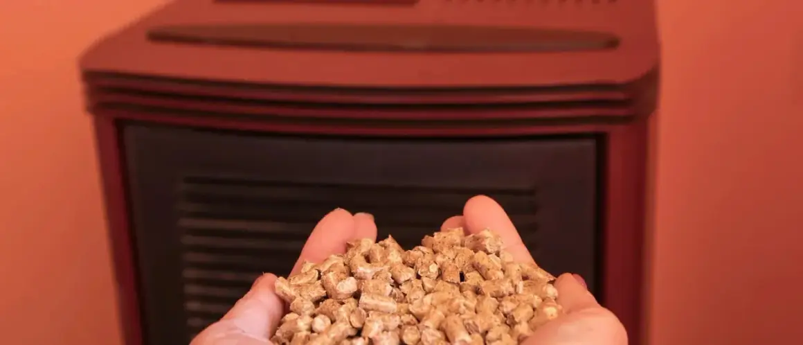 Mains de femme tenant des granulés de bois devant un poêle à granulé, illustrant le fonctionnement de cet appareil de chauffage écologique.