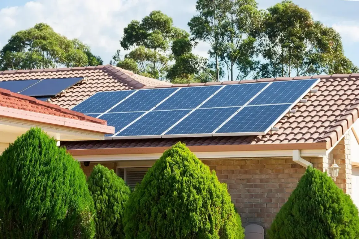 Panneaux solaires thermiques bleus brillants sur un toit de tuiles, entourés de verdure luxuriante.