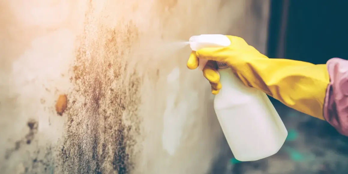 Main jaune pulvérisant un produit sur un mur taché par l'humidité dans une maison.