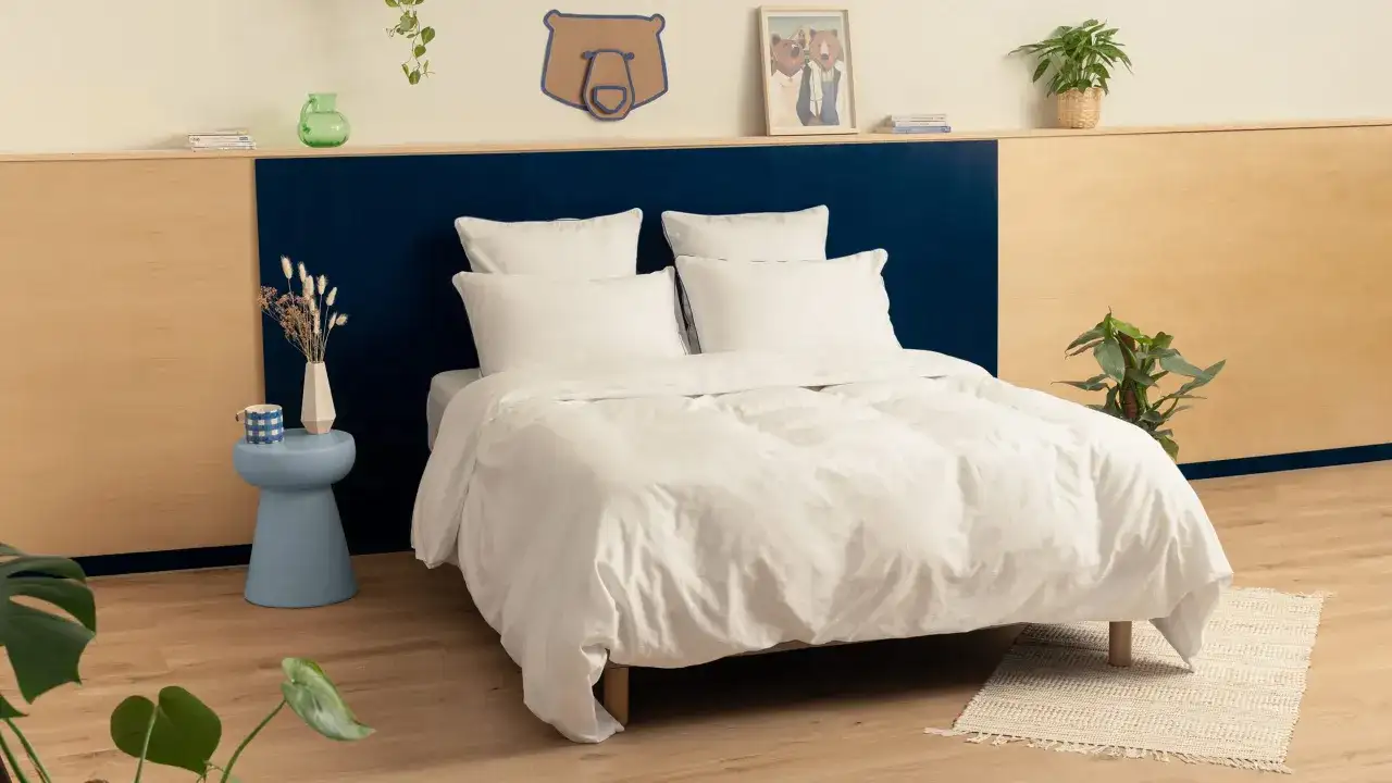 Peinture chambre adulte en 2 couleurs - les bons choix