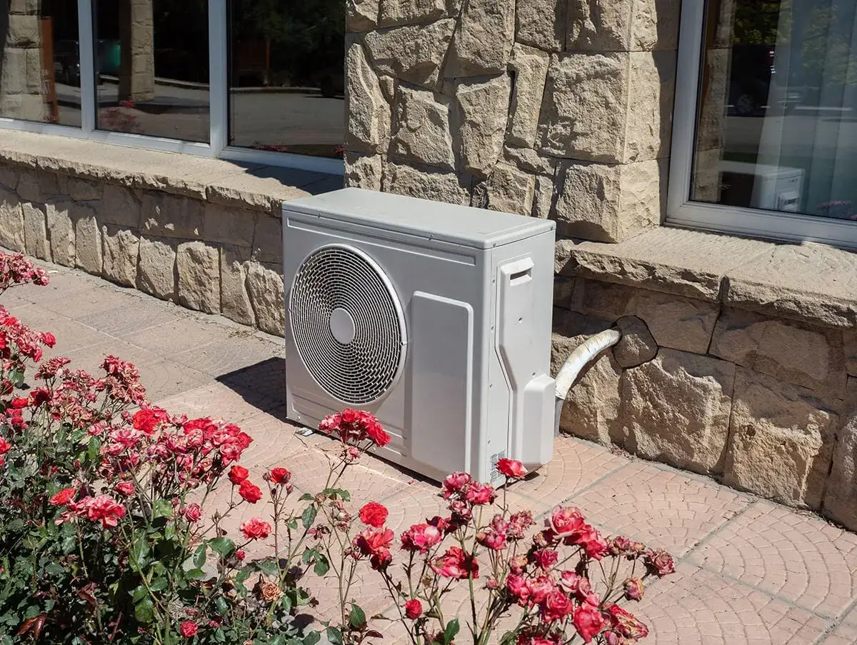 Unité extérieure de pompe à chaleur installée près d'un mur en pierre, avec des rosiers en fleurs. Idéal pour savoir où installer unité extérieure pompe à chaleur.