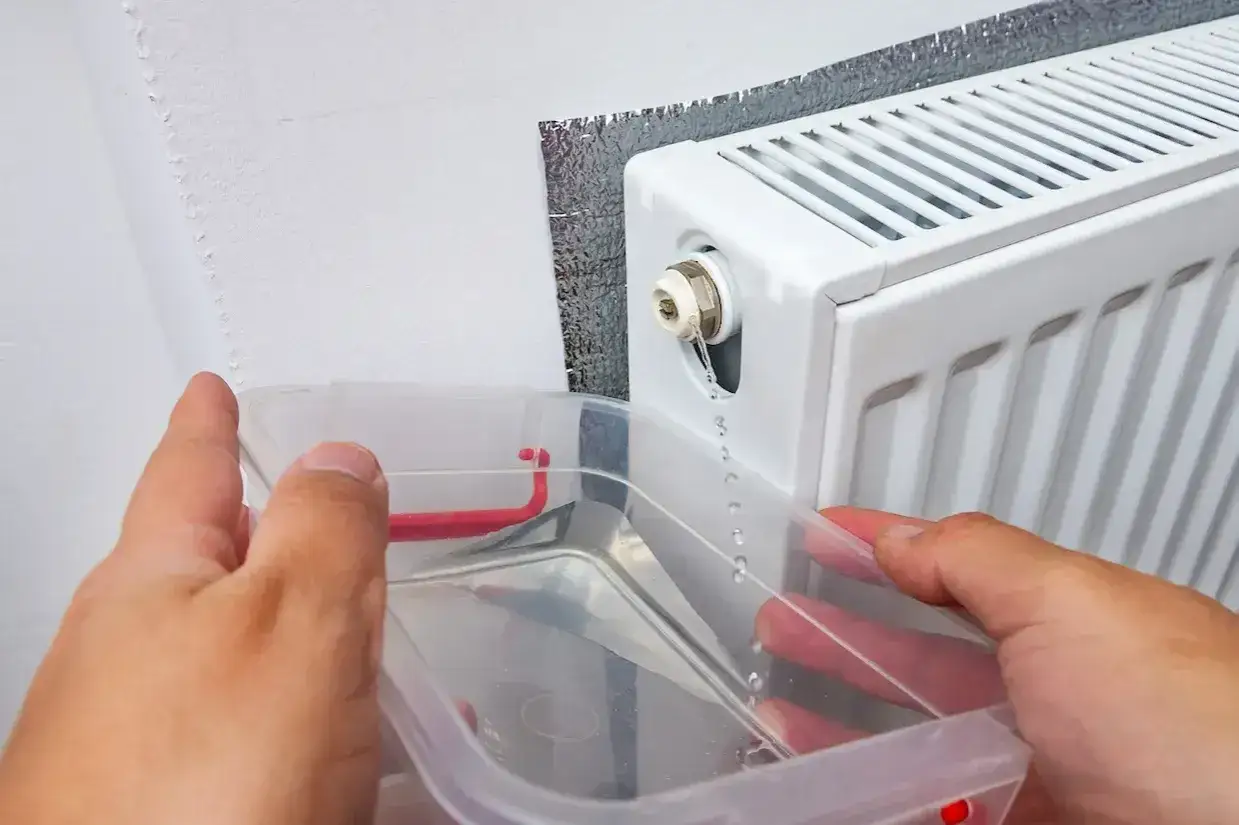 Maintenant, je vais purger le radiateur. De l'eau s'&eacute;coule dans un r&eacute;cipient transparent.