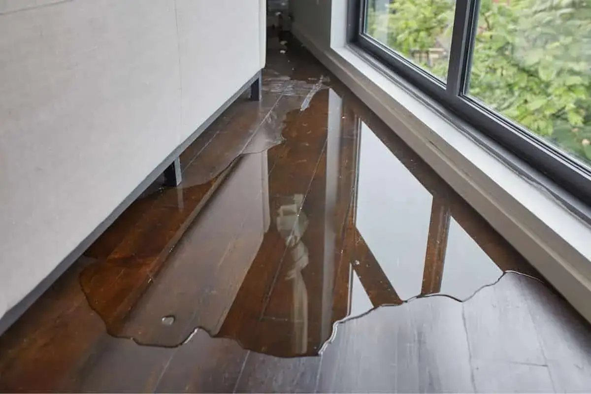 Une flaque d'eau sur un parquet en bois sombre, le parquet qui gondole sous l'effet de l'humidité. La lumière se reflète sur la surface mouillée.