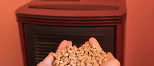 Mains de femme tenant des granulés de bois devant un poêle à granulé, illustrant le fonctionnement de cet appareil de chauffage écologique.