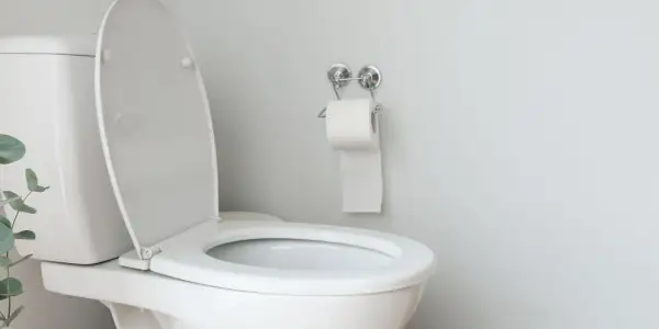 Un WC blanc au couvercle ouvert, prêt pour l'évacuation des eaux usées. Un rouleau de papier toilette est accroché au mur.