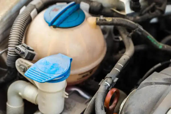 Gros plan sur le **vase d'expansion rempli d'eau** d'une voiture, avec ses bouchons bleus et les tuyaux environnants.